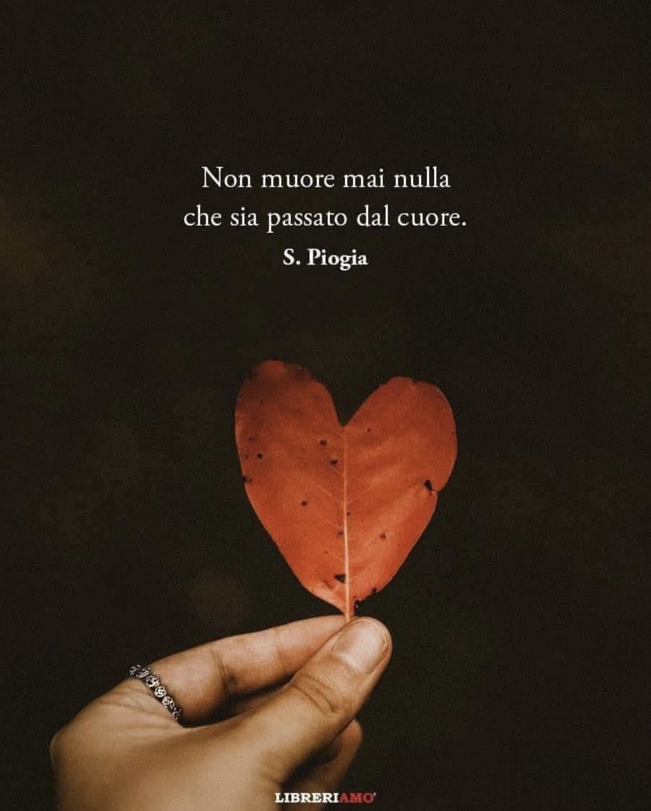 Piogia