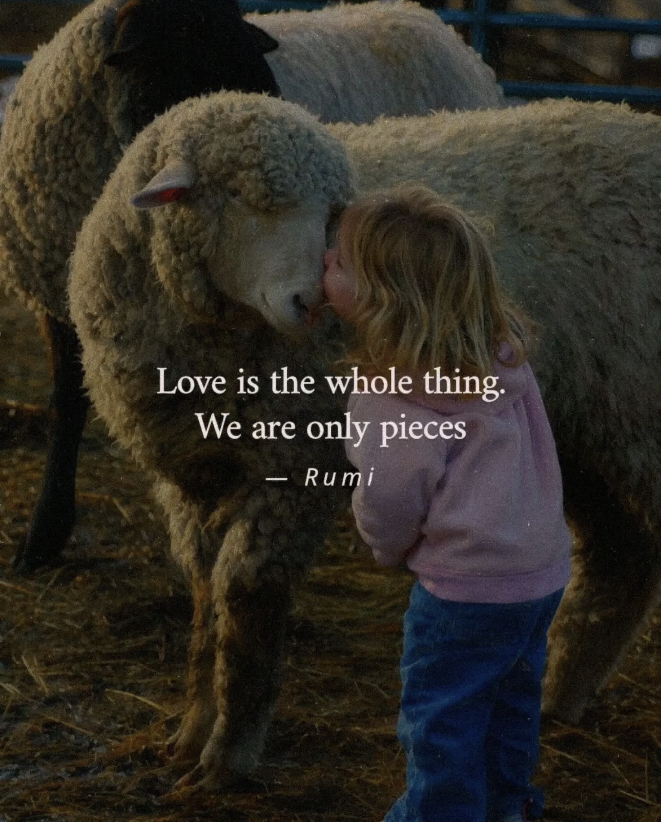 Rumi