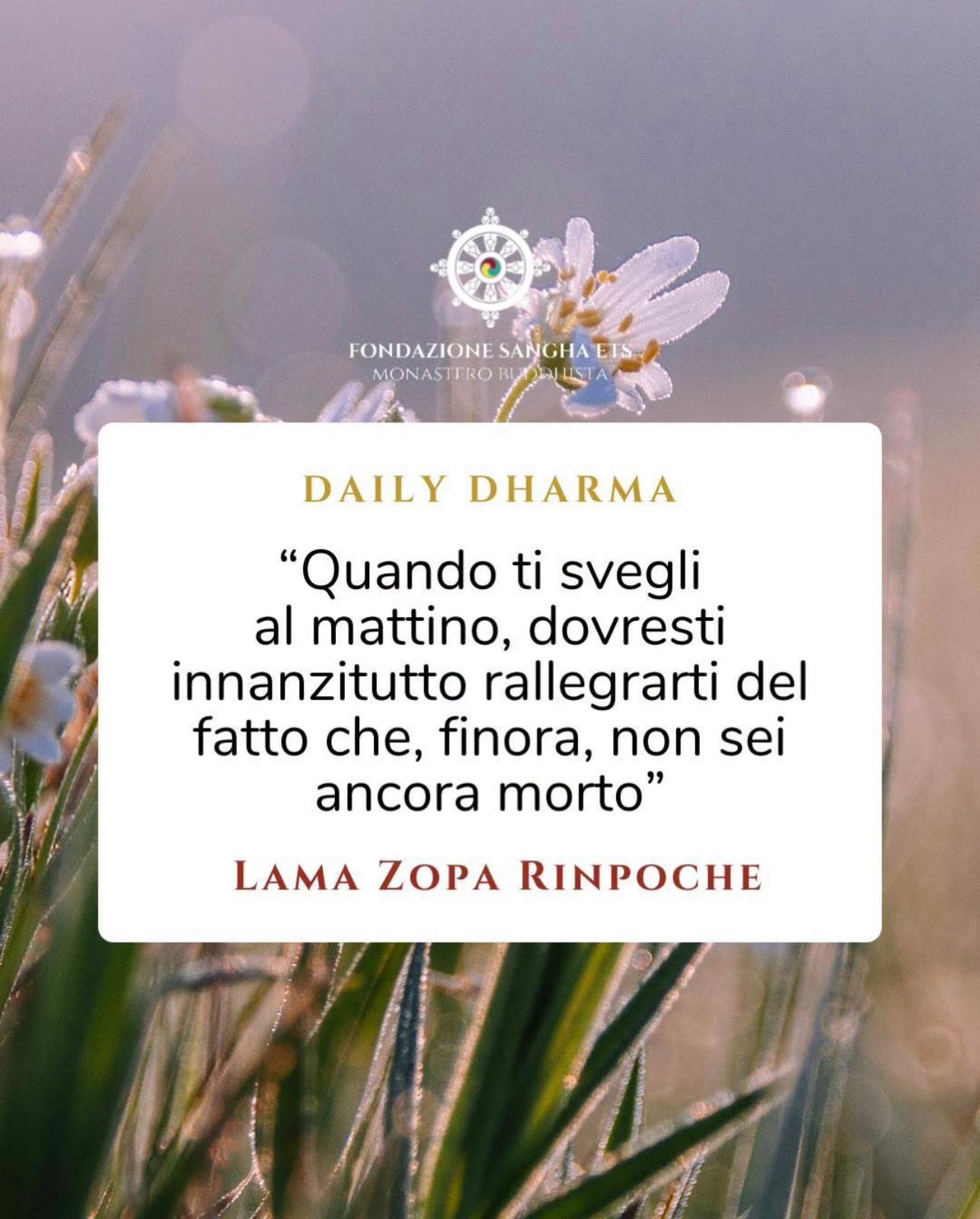 LAMA ZOPA RINPOCHE